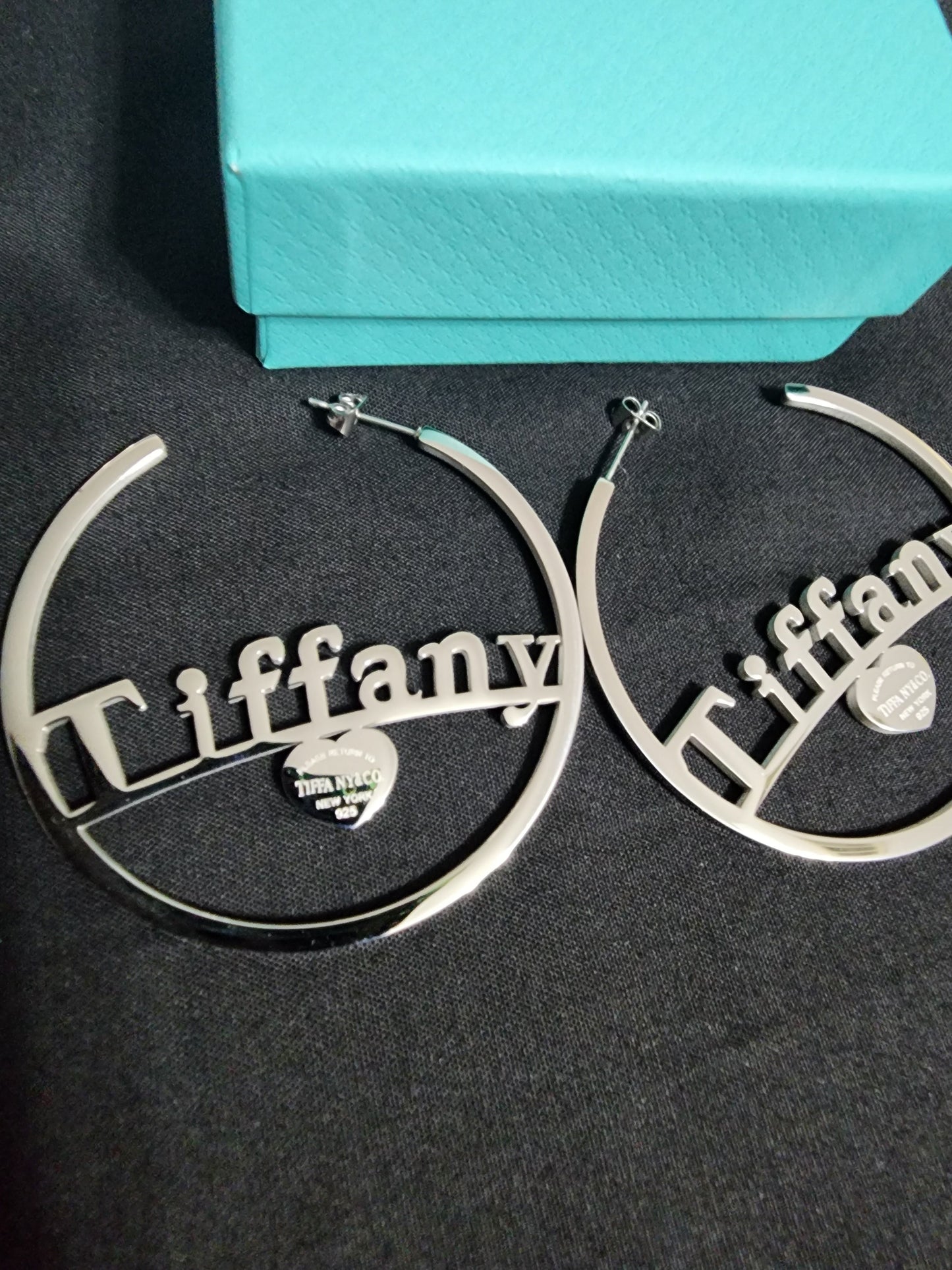 Fashion Stainless Steel Hoop Earrings