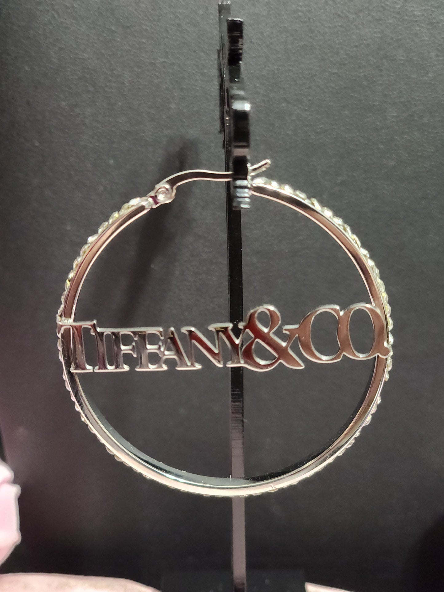 Stainless Steel Earrings