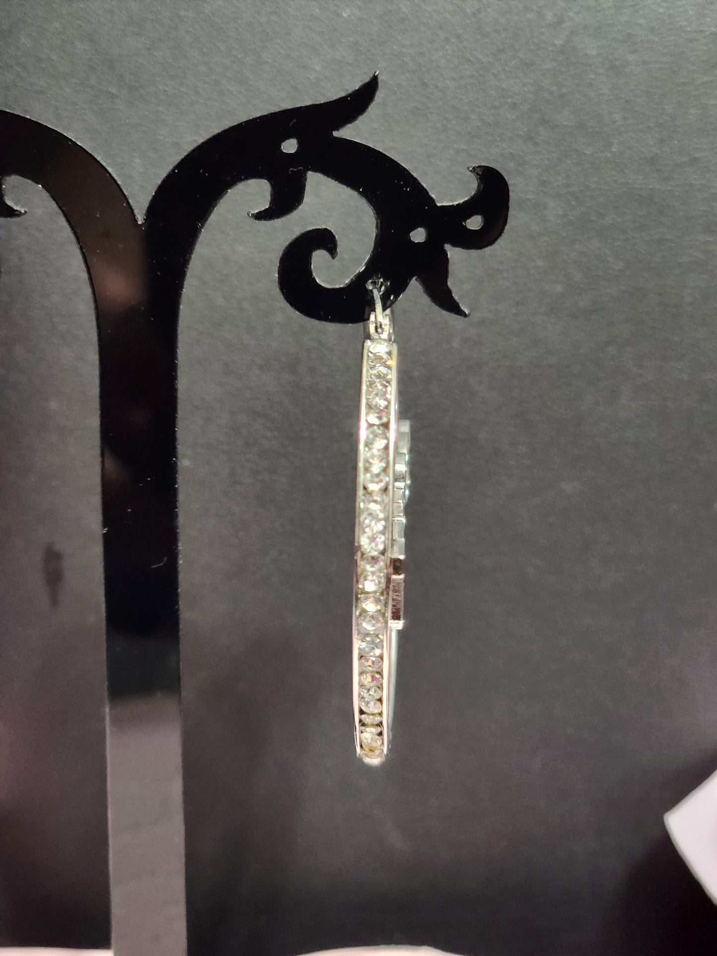 Stainless Steel Earrings