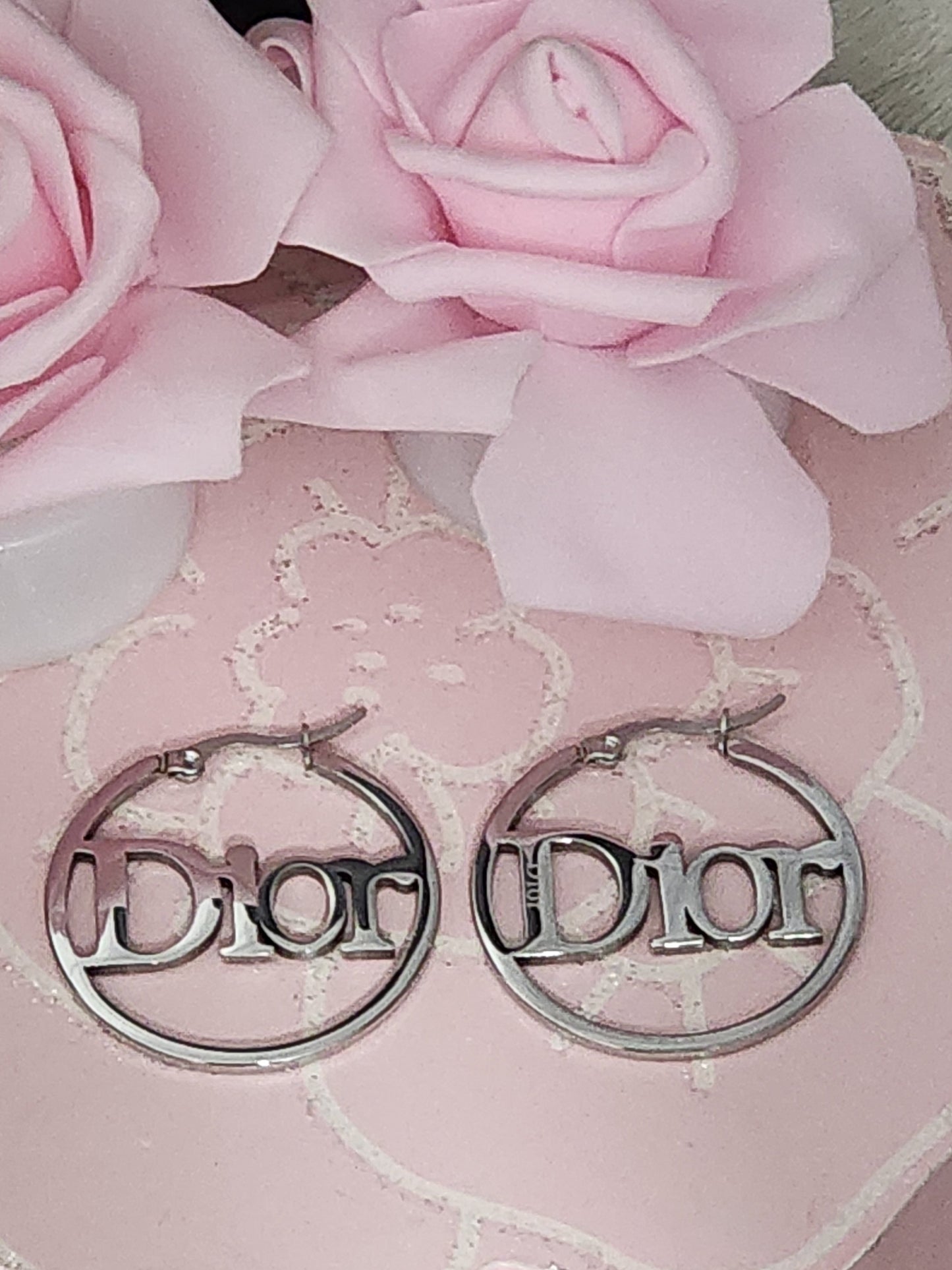 Stainless Steel Hoop Earrings
