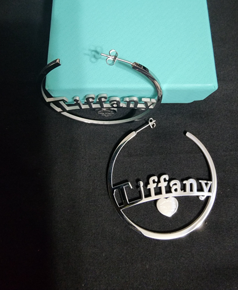 Fashion Stainless Steel Hoop Earrings