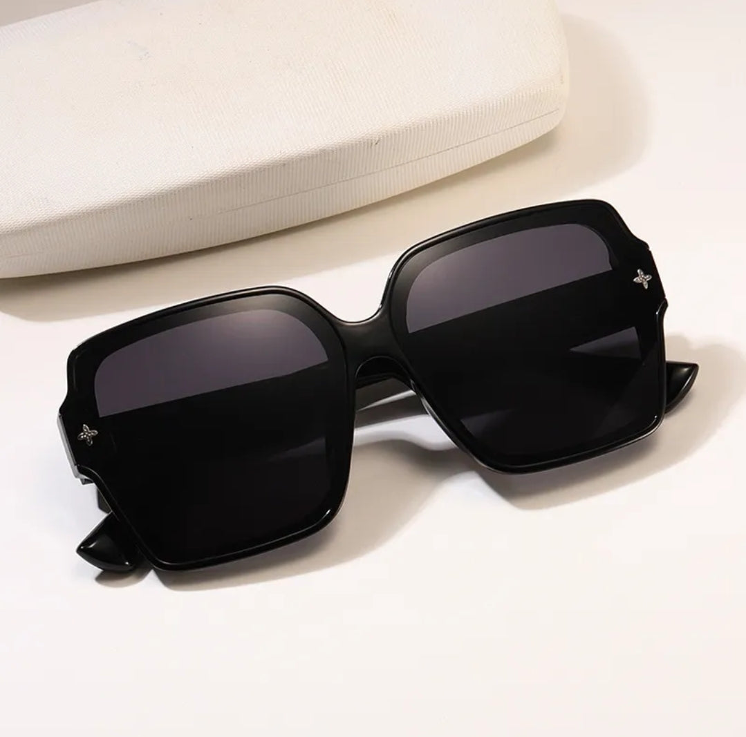 Vintage Style Sunglasses with Case
