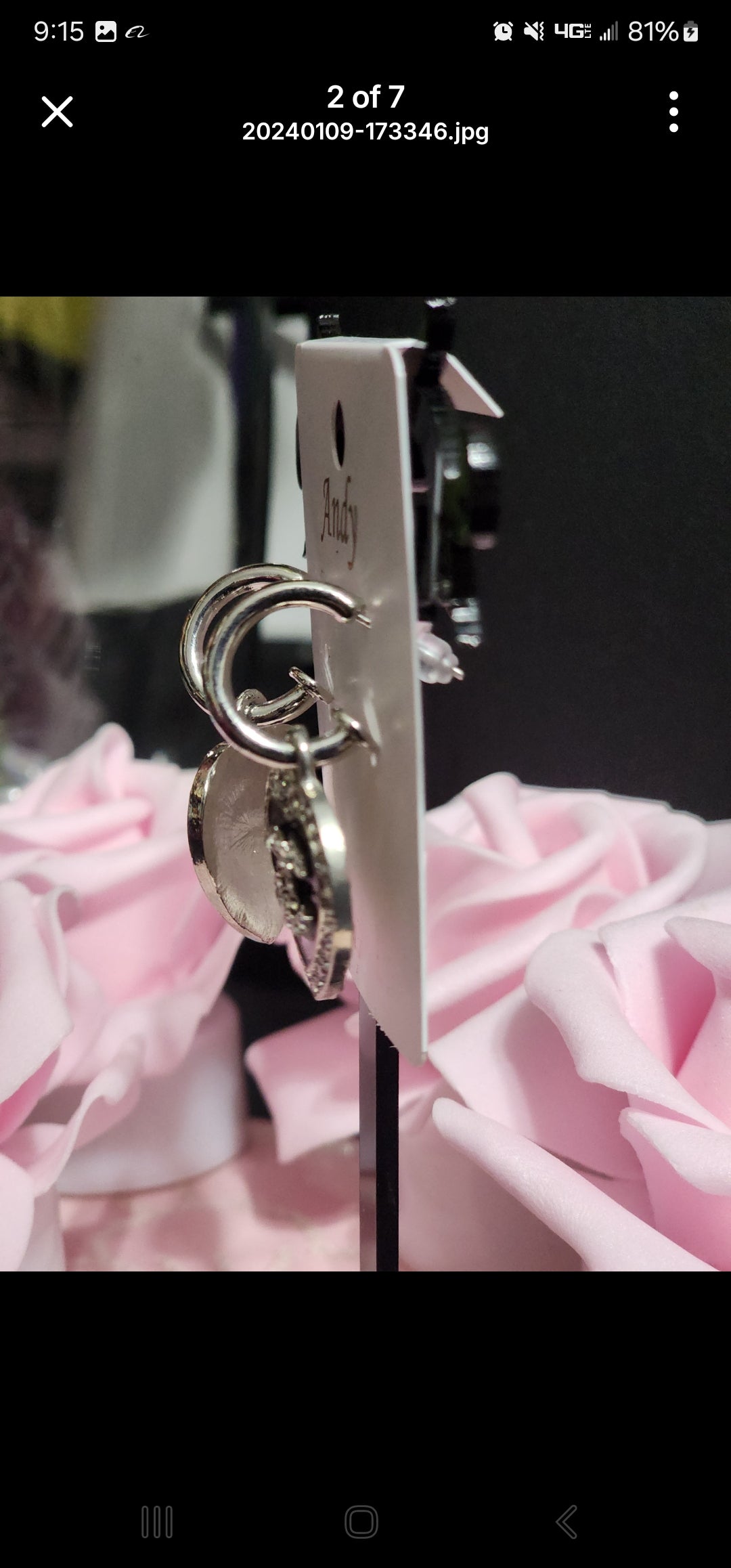 Heart Earrings