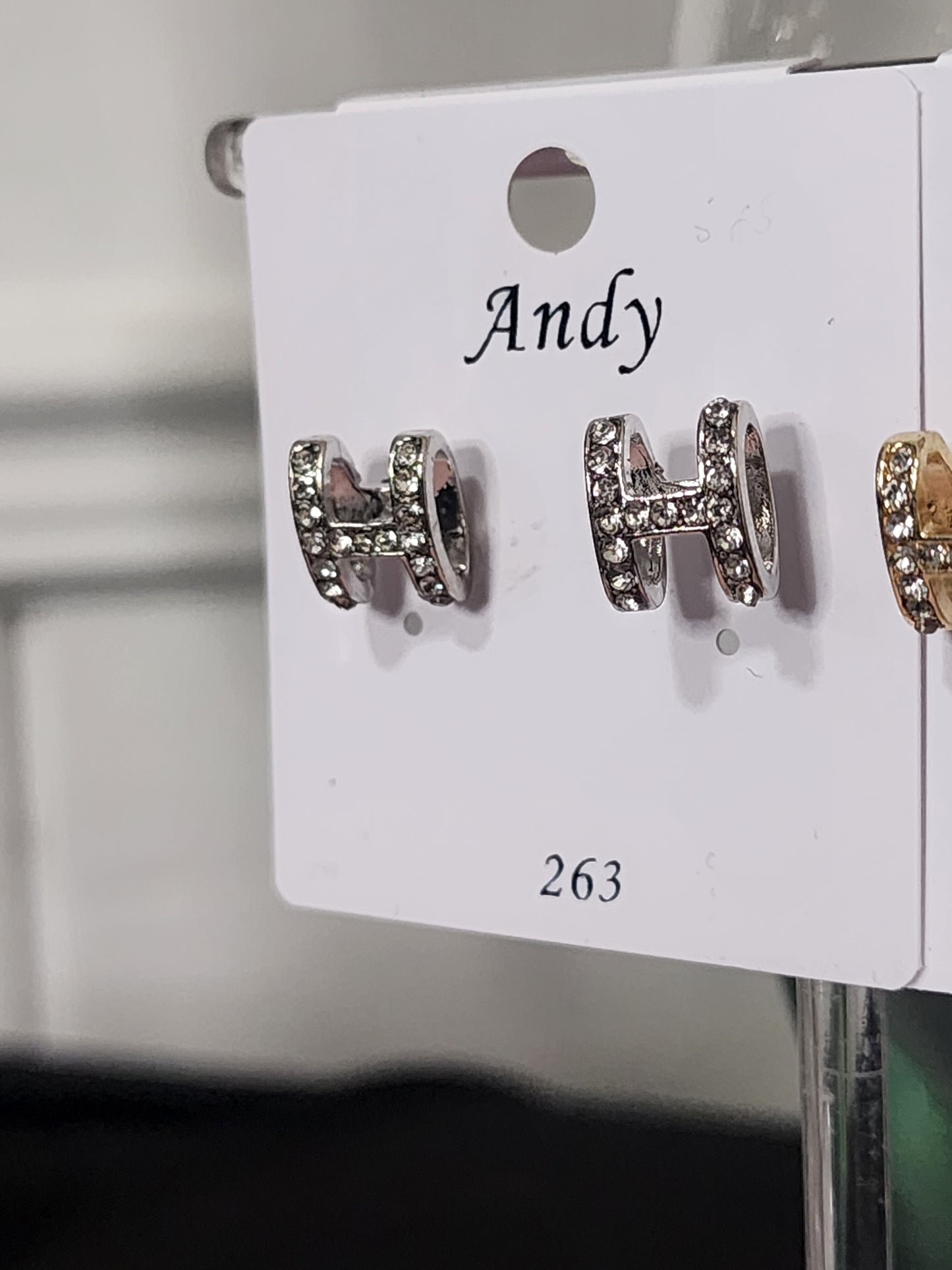 Fashion H Earrings