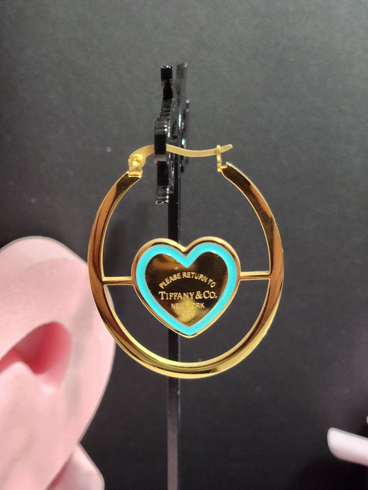 Gold Stainless Steel Earrings
