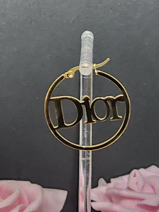 Stainless Steel Hoop Earrings