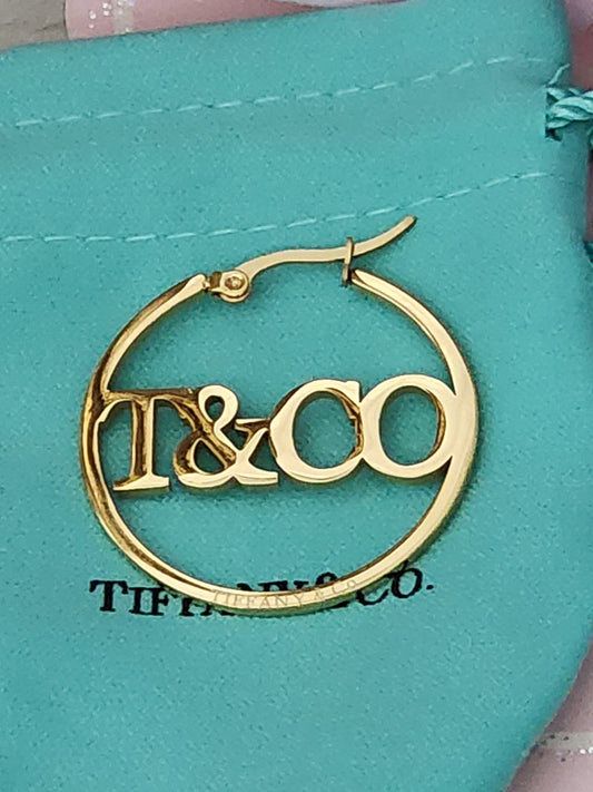 Fashion Stainless Steel Hoop Earrings