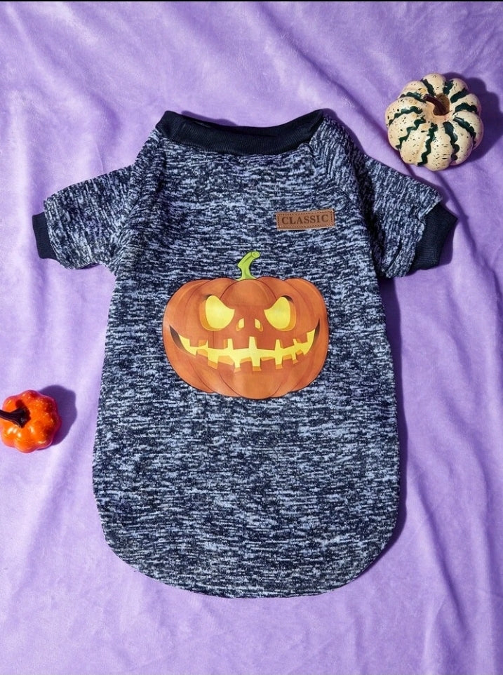 Doggie Halloween Sweatshirt for your Smaller Fur Baby