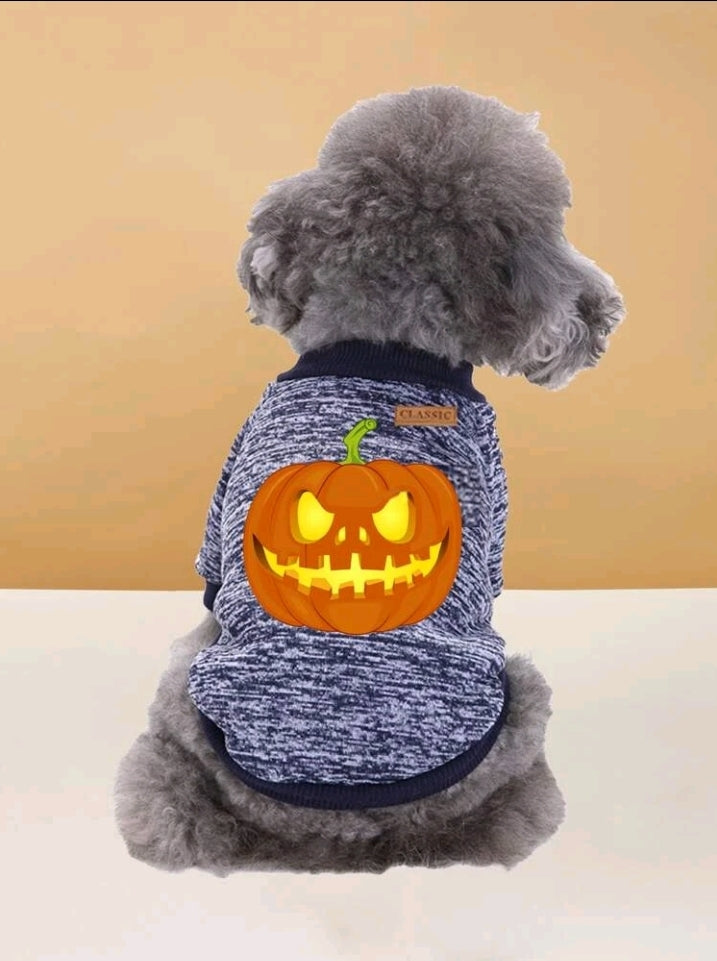 Doggie Halloween Sweatshirt for your Smaller Fur Baby