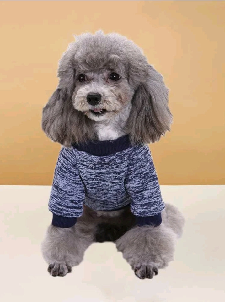 Doggie Halloween Sweatshirt for your Smaller Fur Baby