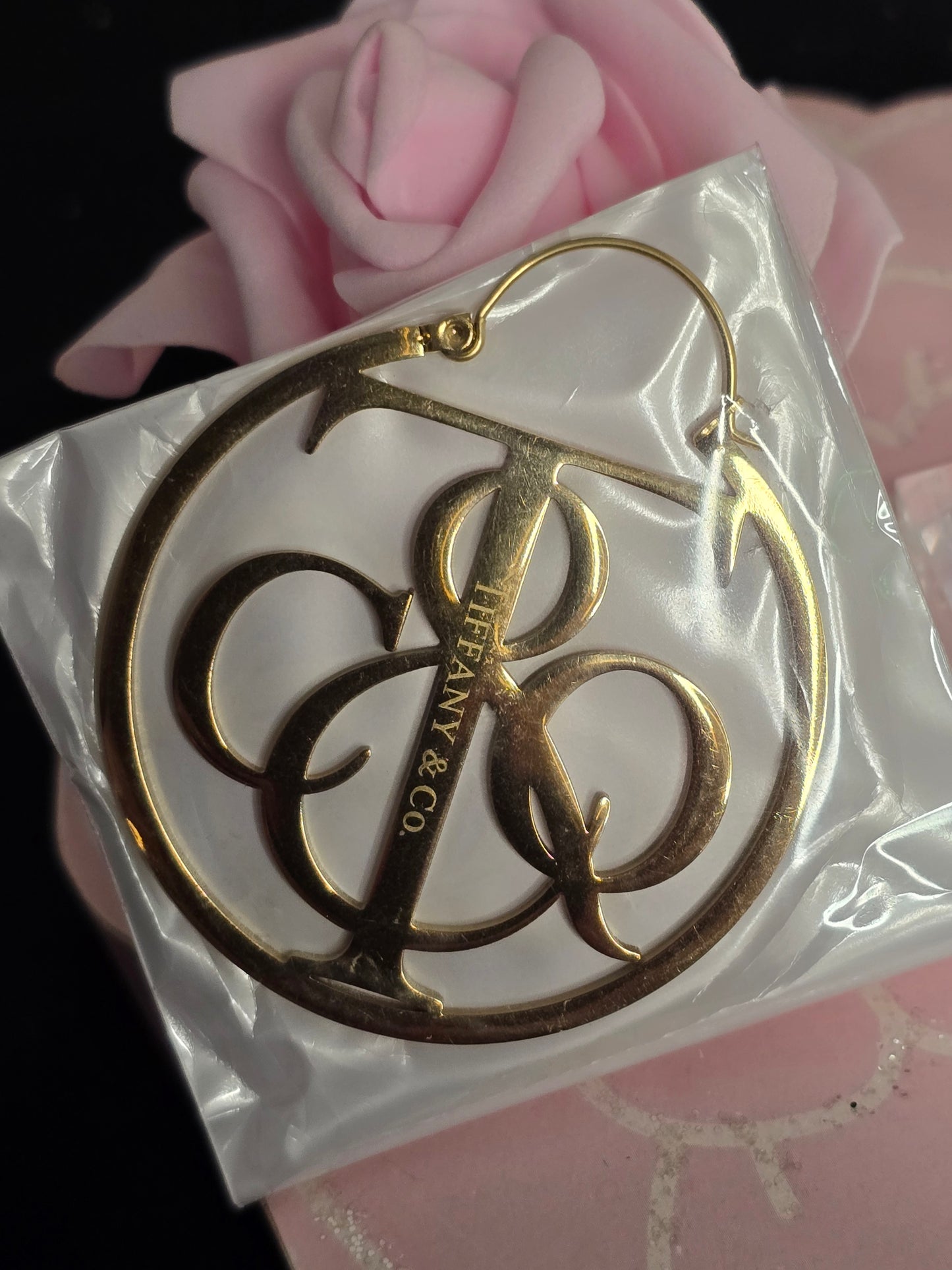 Stainless Steel Hoop Fashion Earrings (Available in Gold or Silver) ON SALE