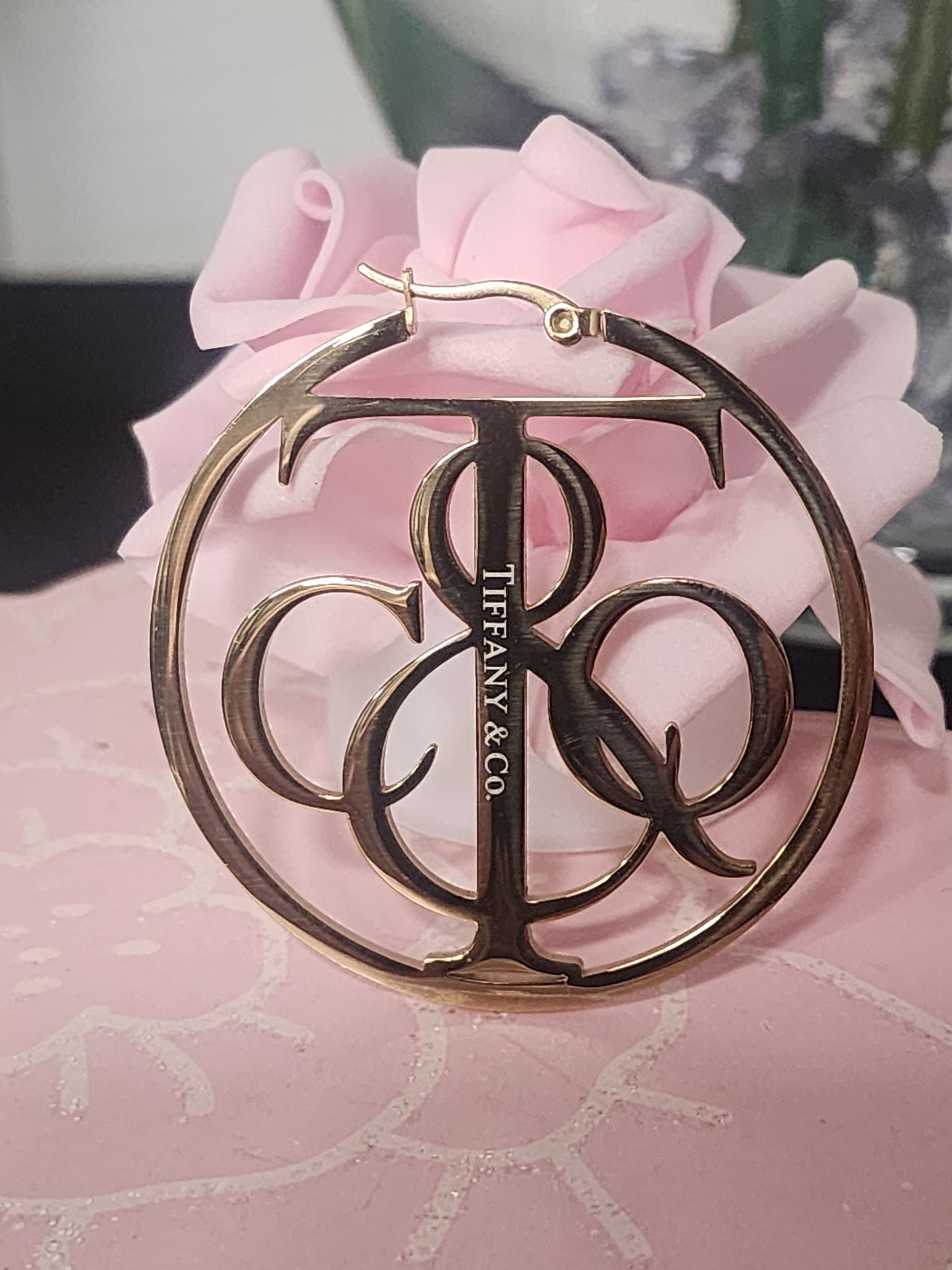 Stainless Steel Hoop Fashion Earrings (Available in Gold or Silver) (ON SALE)