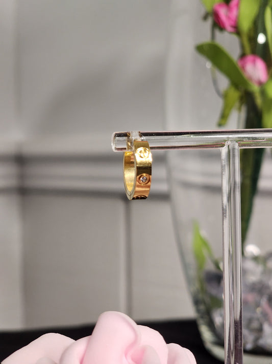 Gold or Silver Stainless Steel Earrings