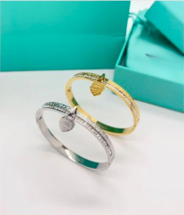 NEW Stainless Steel Bracelets or Earrings